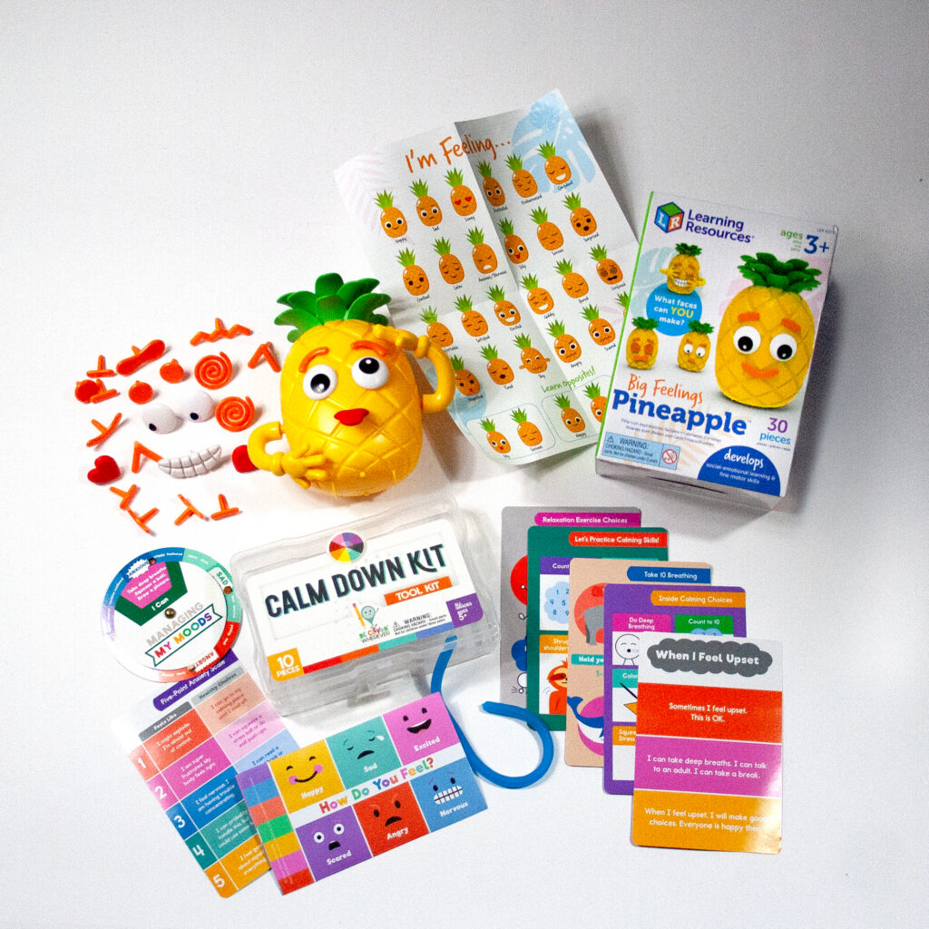Understanding Feelings Bundle - Ages 3-8 | Stacys Sensory Solutions