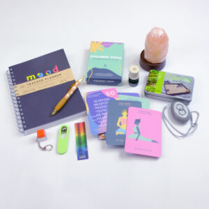 Managing Anxiety for Teens and Adults Set